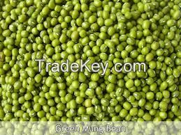New Crop Green mung bean best price