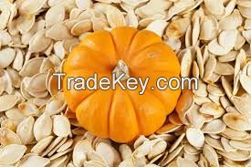 Sell Pumpkin Seeds AA grade cheapest price
