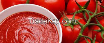 Best price Drum Packing Tomato Paste with Brix 28-30% 30-32% 36-38%