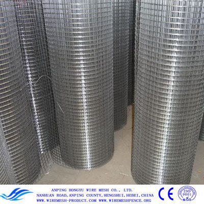 sell welded wire mesh/ welded wire mesh rolls