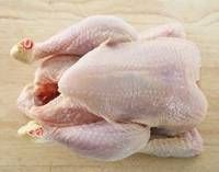 Frozen Halal Whole Chicken