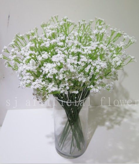 babysbreath