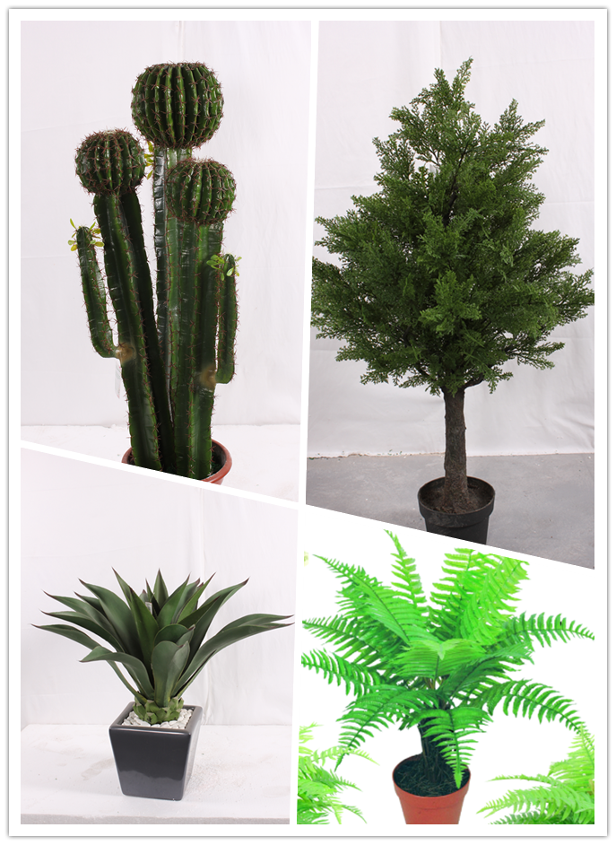 Artificial plant/bonsai/tree artificial cactus orchid pine bonsai /Perilepta dyeriana/palmae bark plant/middle tree/ flower bonsai/large green leaf plants