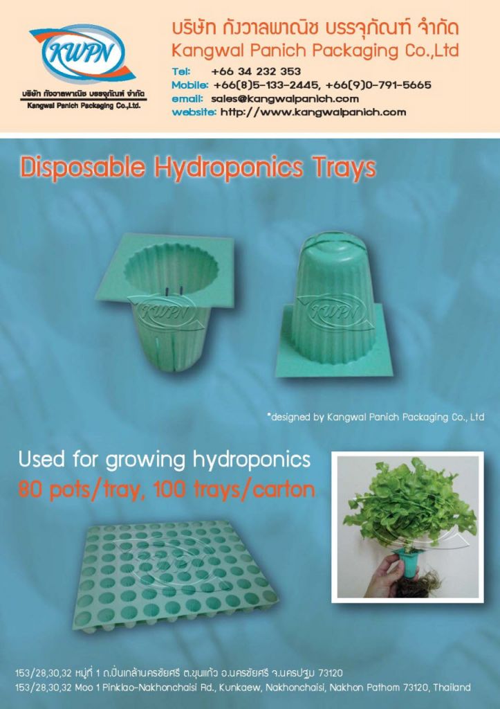 Offer Disposable Seedling Tray (for hydroponics)