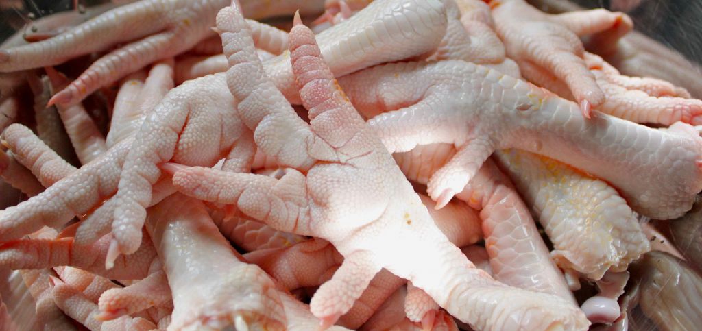 Frozen Chicken Feet Grade A