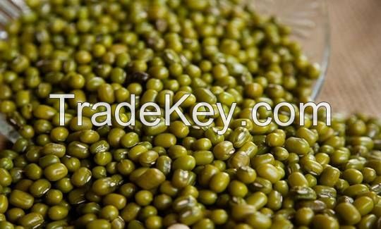 Green mung beans for export