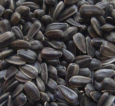 Refined Sunflower Oil Seeds