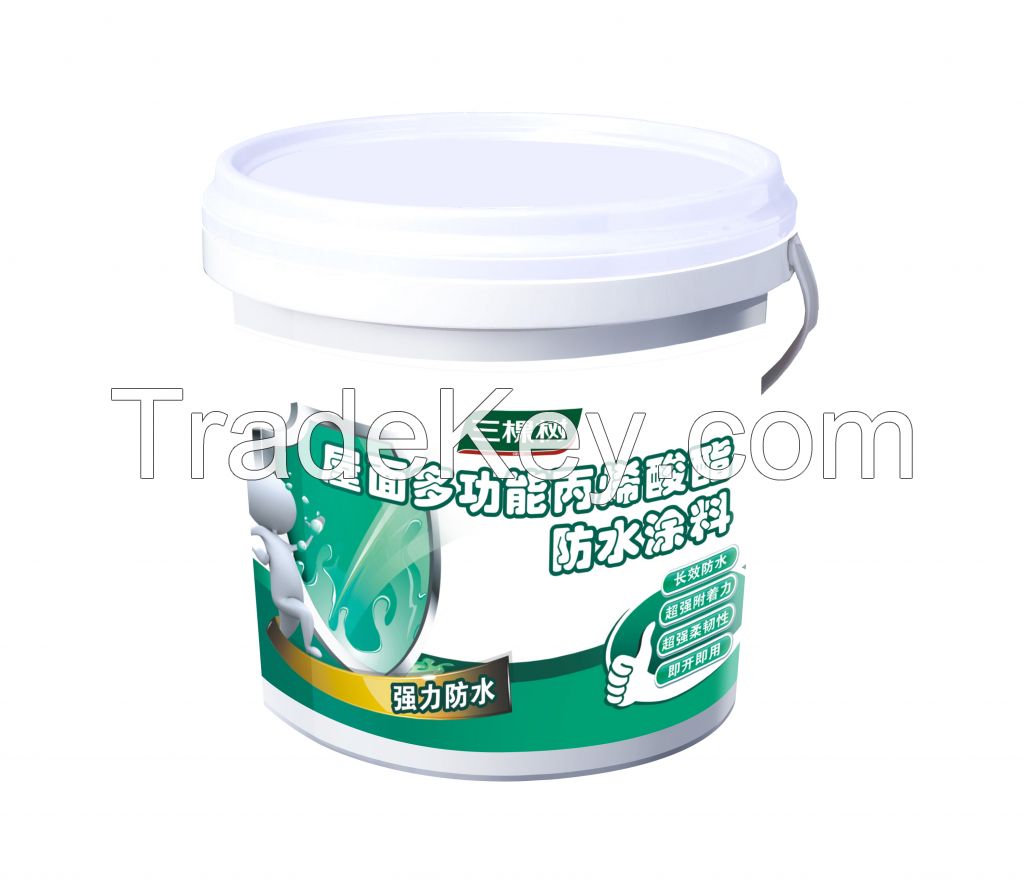 Acrylic Ester Water-Proof Paint (Multi-functional type)