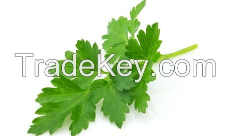 parsley