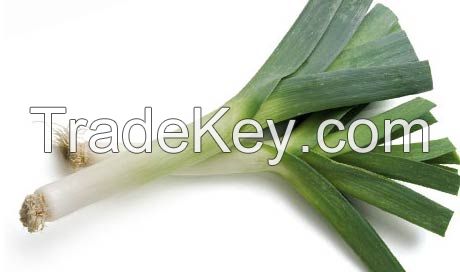 Leek