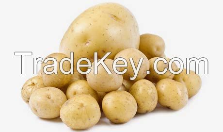 Potato