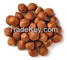 Hazel Nuts, Best Quality Hazel Nuts, Grade A Hazel Nuts