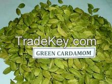 High Quality Fresh Green Cardamom
