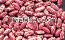 High Quality Red Kidney Beans