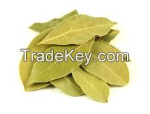 Natural Bay Laurel Leaf leave price