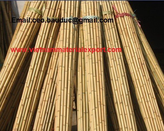 Sell-Bamboo material