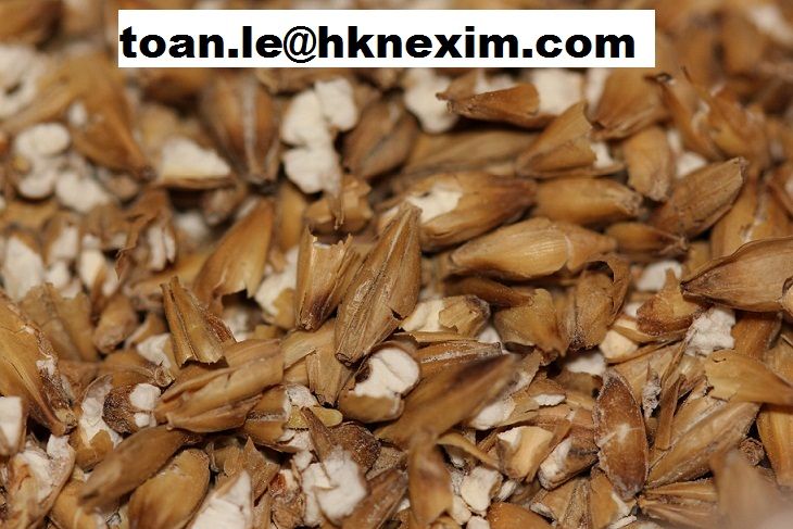 Sell BREWER DRIED GRAIN