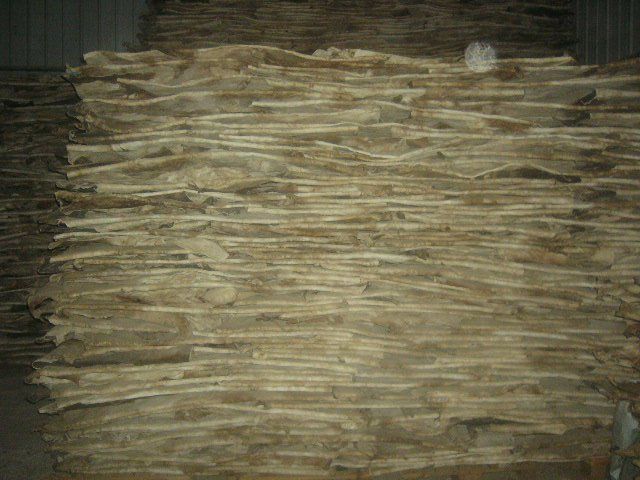 Buy quality wet salted cow hides