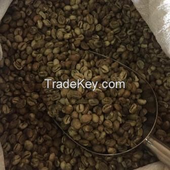 018 Robusta Coffee Bean  from lombok Island