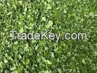 Moringa leaves powder