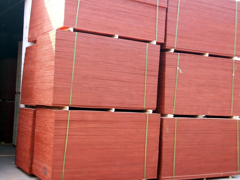 CHINA best quality plywood/film faced plywood