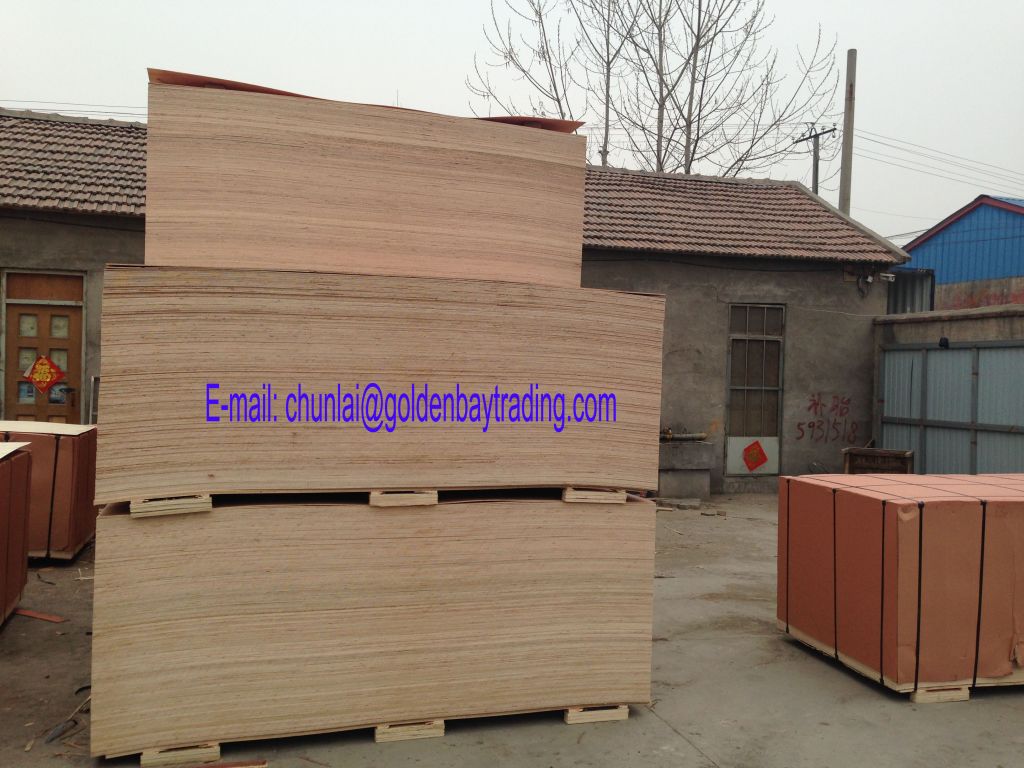 LIAONING DONGDAIHE GOLDEN BAY TRADING CO., LTD for plywood and film faced plywood