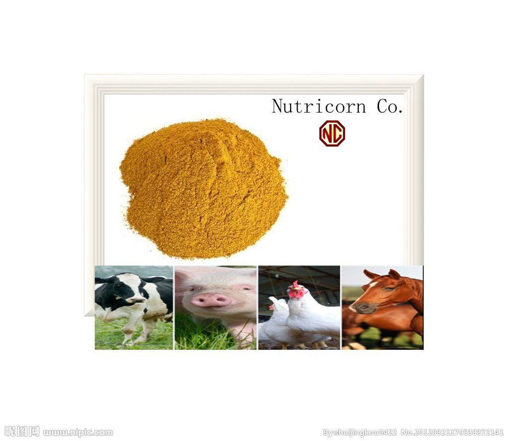 Nutricorn Corn Gluten Meal Feed Additives