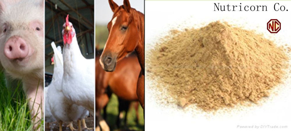 Nutricorn 98.5% L-Lysine Feed Additives