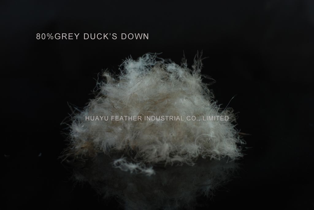 80%Grey Duck's Down