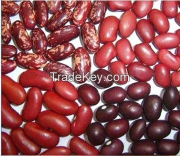 sell 2014 new crop red kidney beans