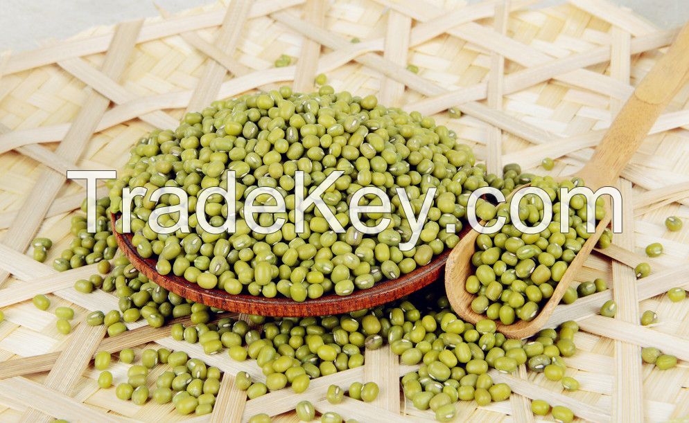 green mung beans