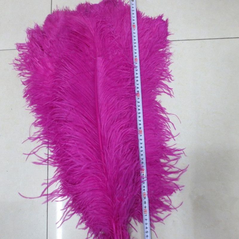 2014 Fashion Factory supply colorful ostrich feather, pheasant feathers for carnival costumes