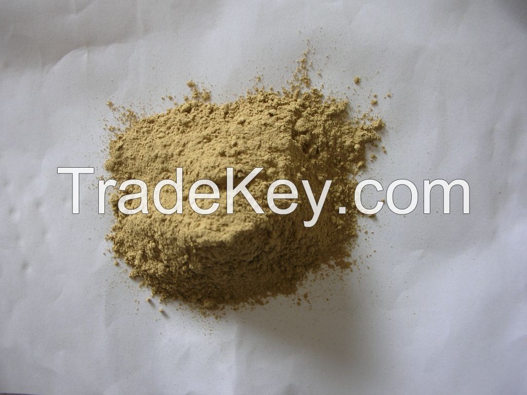 mushroom powder, dehydrated mushroom powder, dried mushroom powder