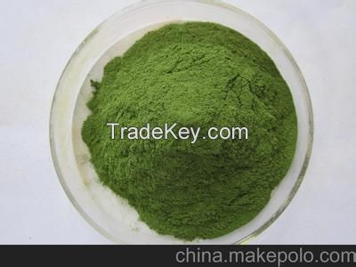 seaweed powder, dehydrated seaweed powder, dried seaweed powder