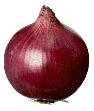 Farm Fresh Red onion : Picking up from the Farm after Purches order