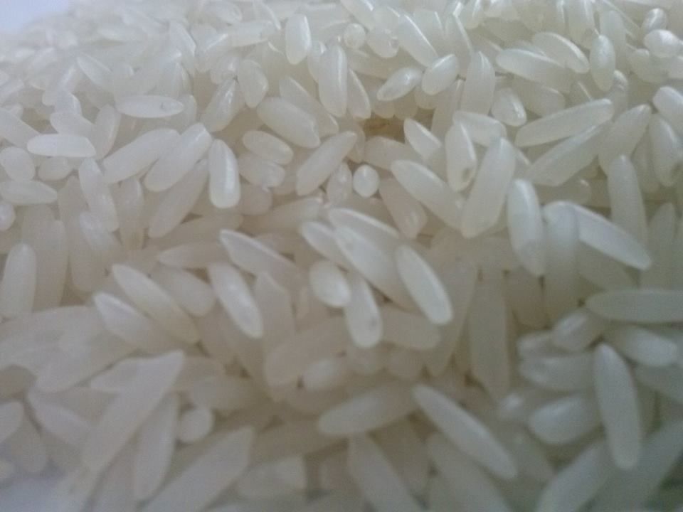Fragrant rice 5% broken cheap price from Vietnam