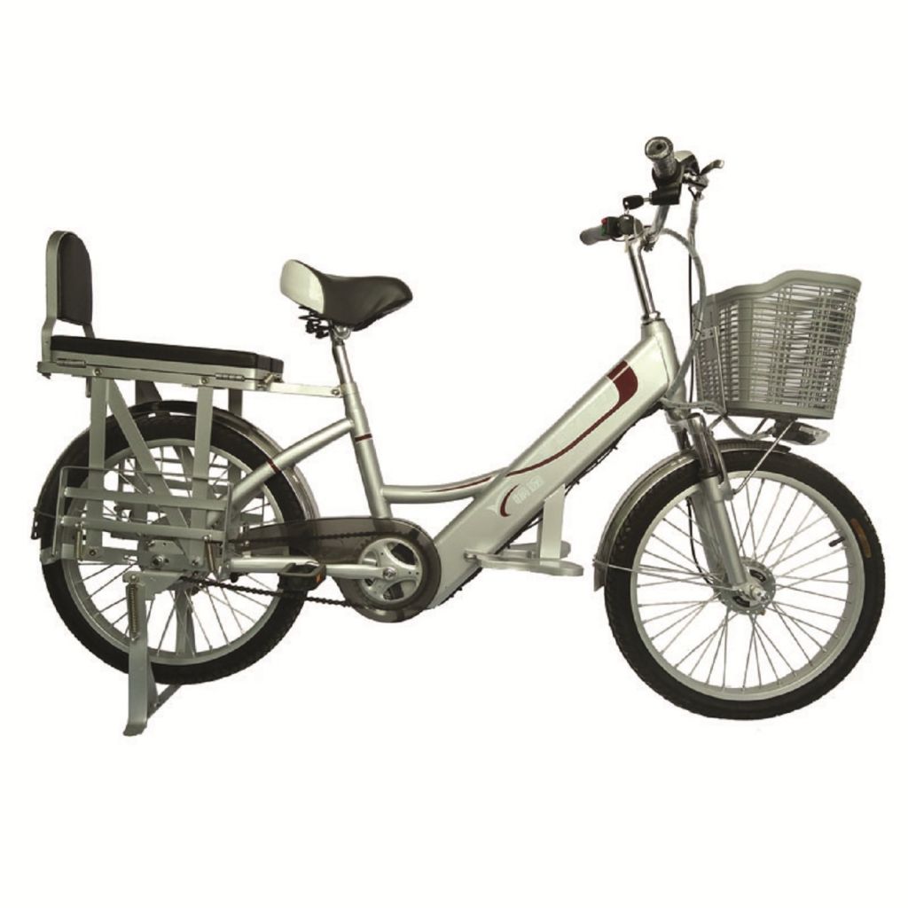 high loading electric bicycle for Thailand