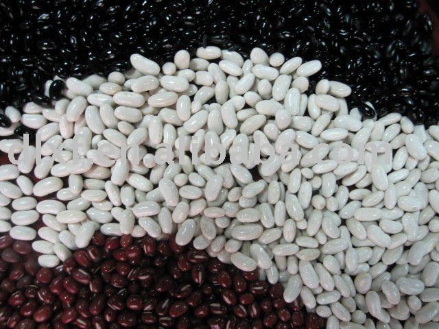 White And Red Kidney Beans