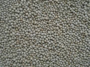 White Perilla Seeds