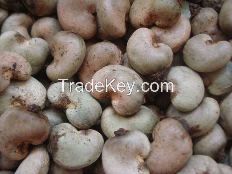 Top Quality Grade Raw Dried Preserved Cashew Nuts For Export