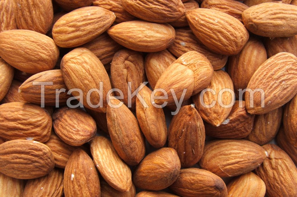 Almond Nuts , Raw, Silvered , Diced , Blanched