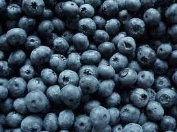 SELL BLUEBERRIES