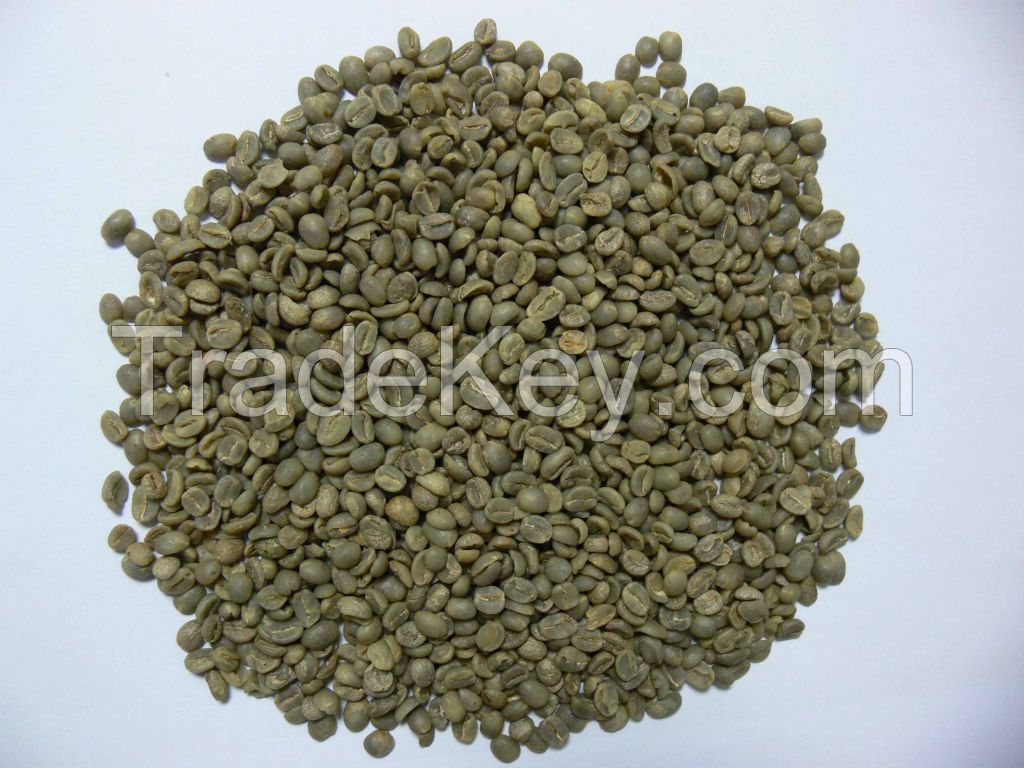 GREEN COFFEE BEANS FACTORY