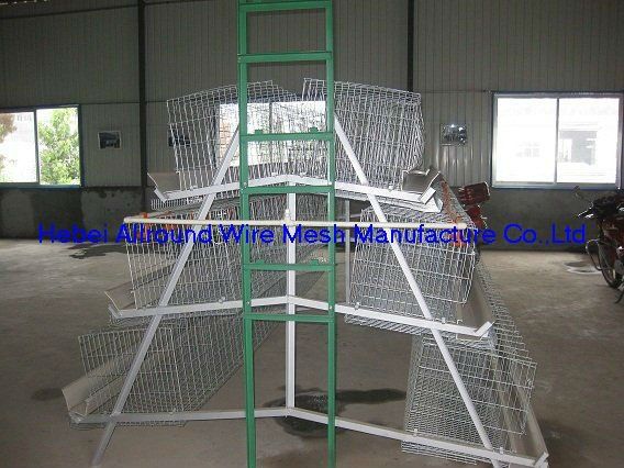 layer chicken battery cage