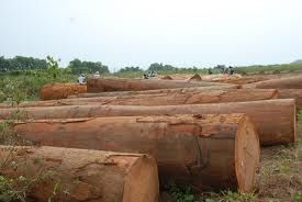 AZOBE Round Logs