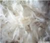 2-4cm Washed White Duck Feather