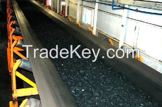 Multiply textile conveyor belt