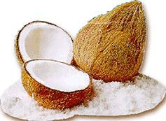 BEST PRICE OF DESICCATED COCONUT VIETNAM