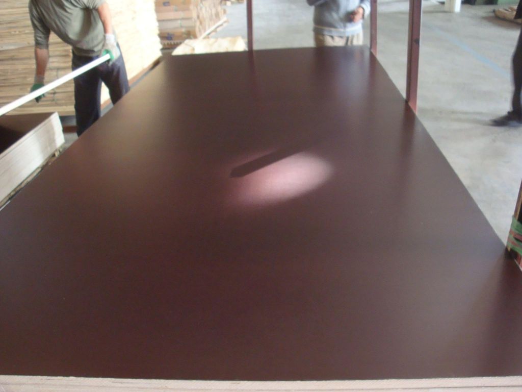 sell high quality mr glue brown waterproof film faced plywood
