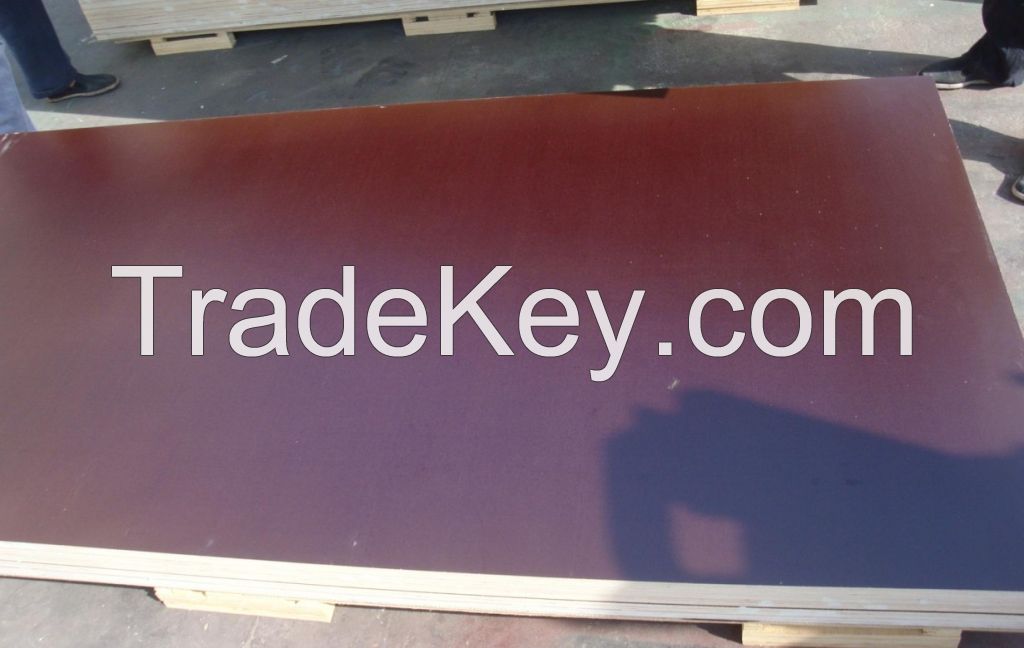 sell Film faced plywood/Shuttering plywood/Construction plywood/FFP